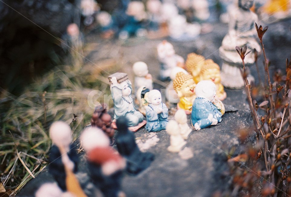 불교,절,사찰,temple,필름,film,부처,필름사진
