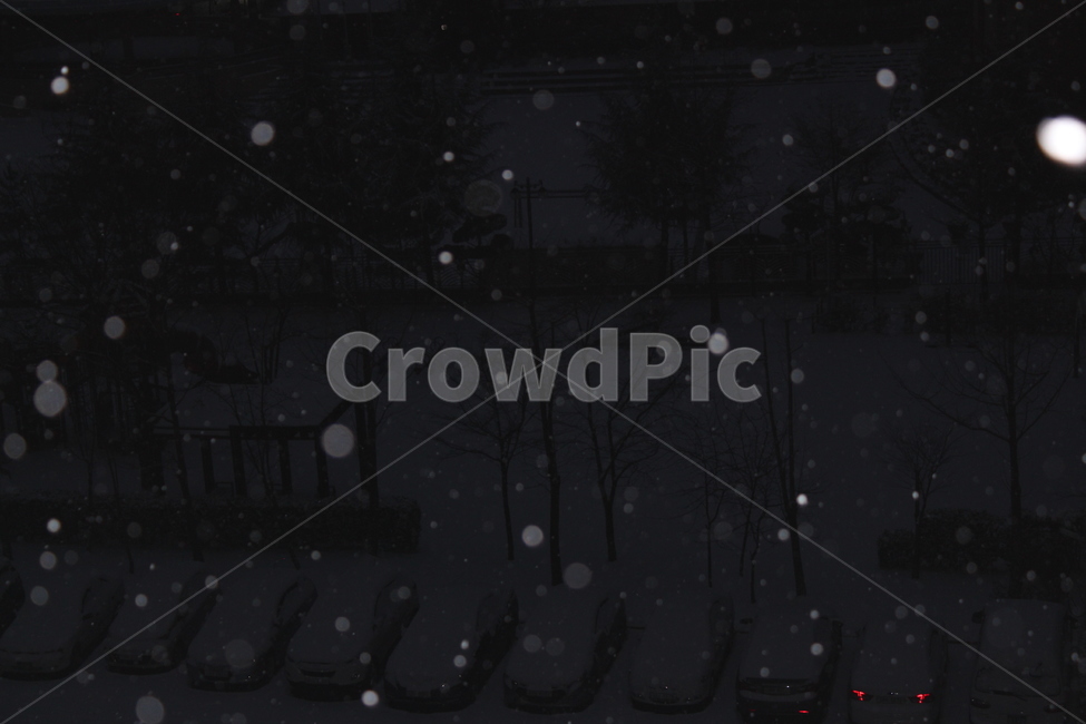 겨울,눈,snow,풍경,landscape,snowing,winter,겨울아침,겨울,계절,winter,season