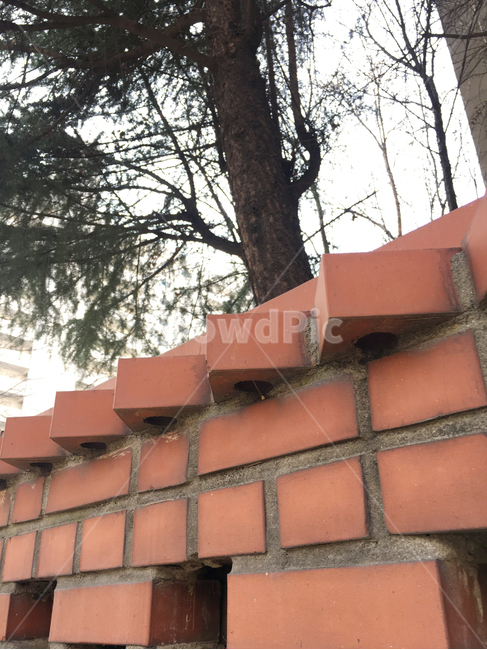 담,벽,wall,벽돌,brick,풍경,scenery,나무,tree,나무줄기,treetrunk