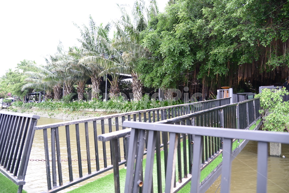 자연,nature,풍경,나무,tree,자연,풍경,nature,landscape,handrail,난간,banister,railing