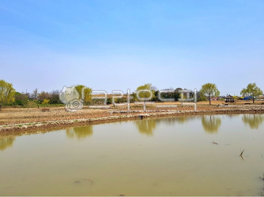 물가,데칼코마니,야외,공원,산책로,nature,자연,water,물,outdoors,옥외