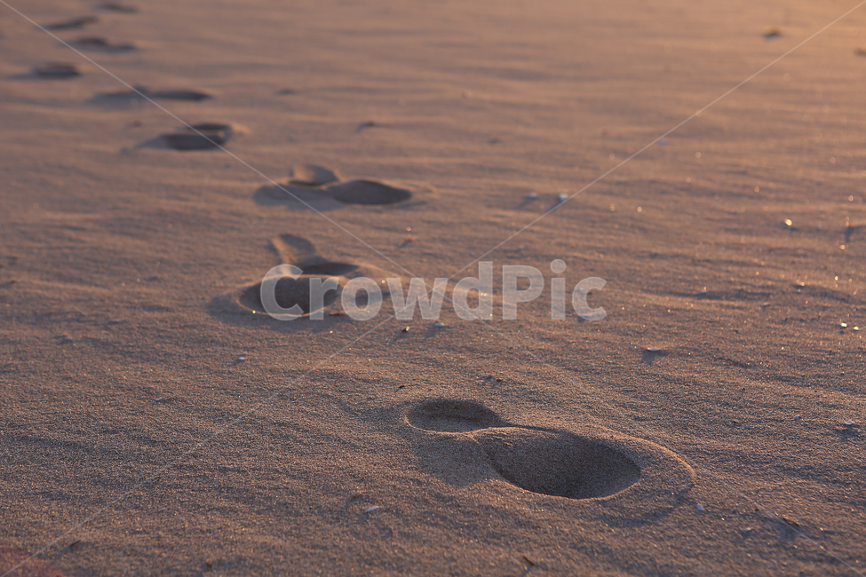 해변,모래,아침,발자국,beach,morning,sand,footprint,해변,바다,beach,sea