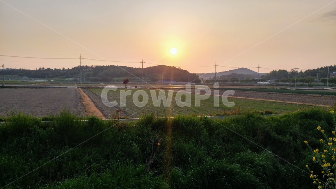 옥외,nature,자연,outdoors,논두렁,노을