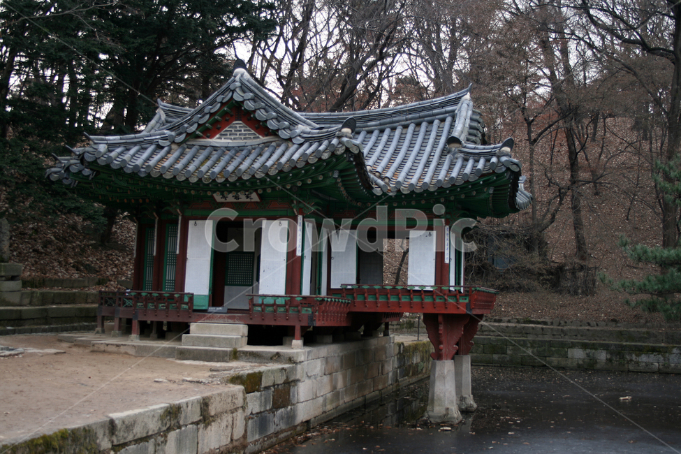 창덕궁,후원,부용정,부용지,세계문화유산,문화유산,한국,한국전통,한국문화,korean traditional,korean culture,랜드마크,landmark,tourist attraction,한국랜드마크,한국관광지,한국명소,korea landmark,korea tourist attraction
