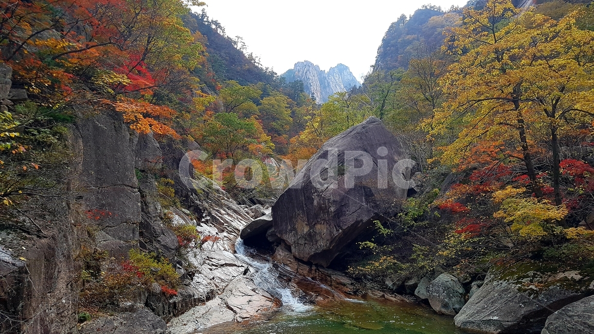 설악산,국립공원,가을,단풍,천불동계곡,담소,가을,계절,fall,autumn,season,자연,풍경,nature,landscape,한국자연풍경,한국자연경관,korea nature landscape,outdoors,옥외,water,물