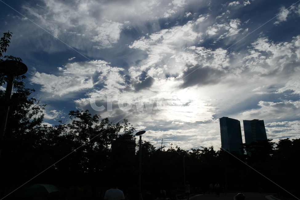 역광,하늘,구름,나무,풍경,날씨,배경,도시,풍경,city,landscape,weather,nature,자연,outdoors,옥외,cloud,cumulus,적운,sky