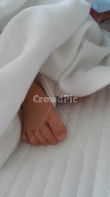 신생아,발,갓난아기,baby,foot,사람,인물,인간,human,person,신체일부,몸,body,영유아,아기,애기,아이,infants,baby