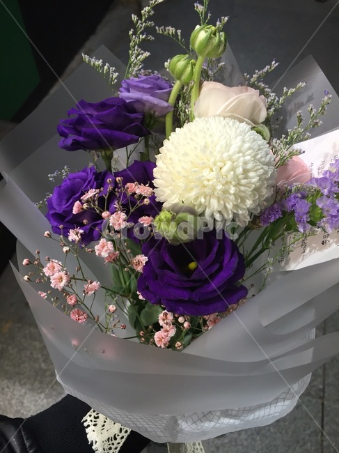 기념일,꽃,계절,감사,선물,꽃,flower,기념일,축하,anniversary,congratulation,celebrate,celebration