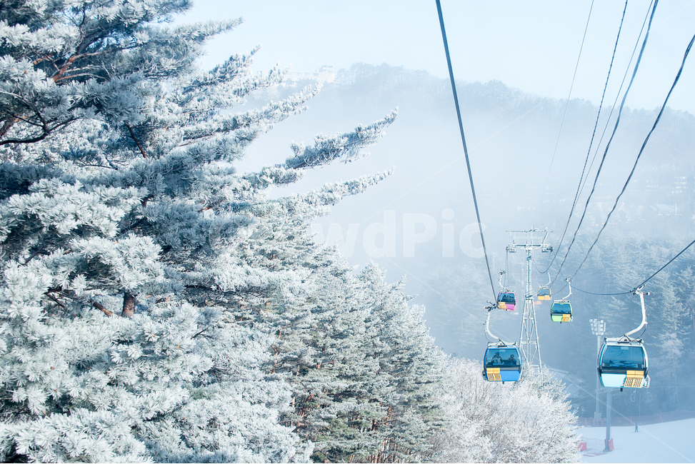 겨울,눈,상고대,케이블카,산,여행,덕유산,스키,겨울여행,winter,snow,moutain,풍경,landscape,이동수단,눈꽃,경치,겨울,계절,winter,season