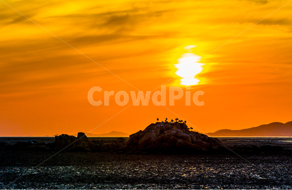 영흥도,갯벌,철새,풍경,바닷가,섬,낙조,석양,황혼,자연,풍경,nature,landscape,한국자연풍경,한국자연경관,korea nature landscape,outdoors,옥외,land,땅