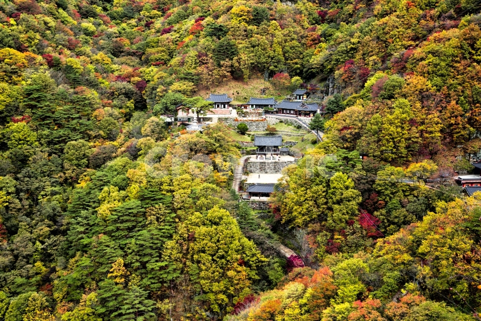 청량산,청량사,가을,가을사진,자연,풍경,가을,계절,fall,autumn,season,자연,풍경,nature,landscape,한국자연풍경,한국자연경관,korea nature landscape,종교,신앙,religion,belief,faith,경치,outdoors,옥외,scenery,plant,식물,vegetation,초목,aerial view,조감도