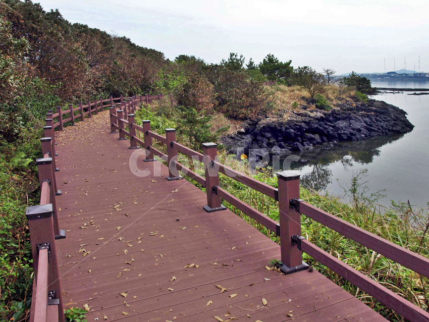 목책,둘레길,내수면,늪지대,올레2코스,제주,서귀포시,보,둑,자연,풍경,nature,landscape,railing,난간,handrail,banister