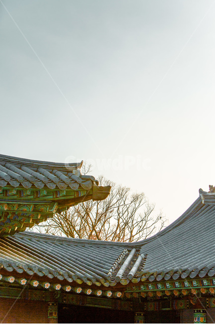 기와,사찰,선,문양,무늬,처마,한국전통,한국문화,korean traditional,korean culture,건축물,건물외관,exterior,building,structure,architecture,construction