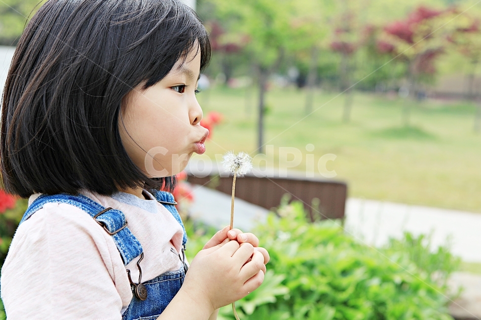 여자아이,아이,어린이,사람,자연,배경
