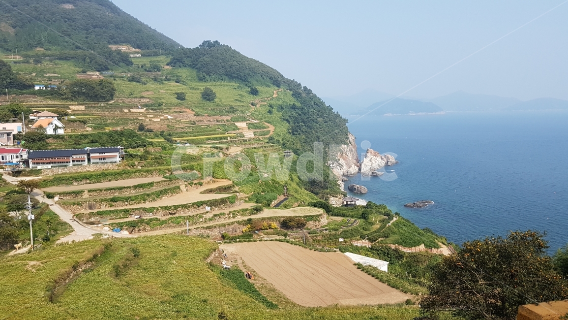 한국,자연,풍경,밭,다랭이마을,남해,바다,육지,자연,풍경,nature,landscape,한국자연풍경,한국자연경관,korea nature landscape,시골,마을,country,rural,town,outdoors,옥외,promontory,곶,scenery