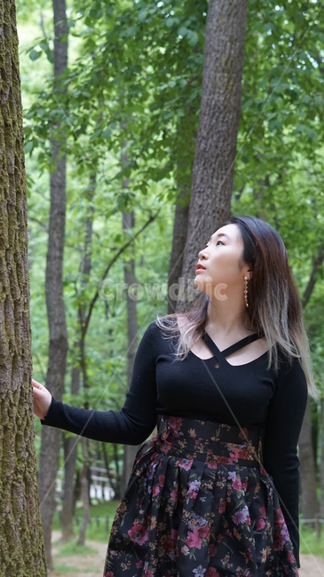 생활한복,한복,산림,산책,자연,나무