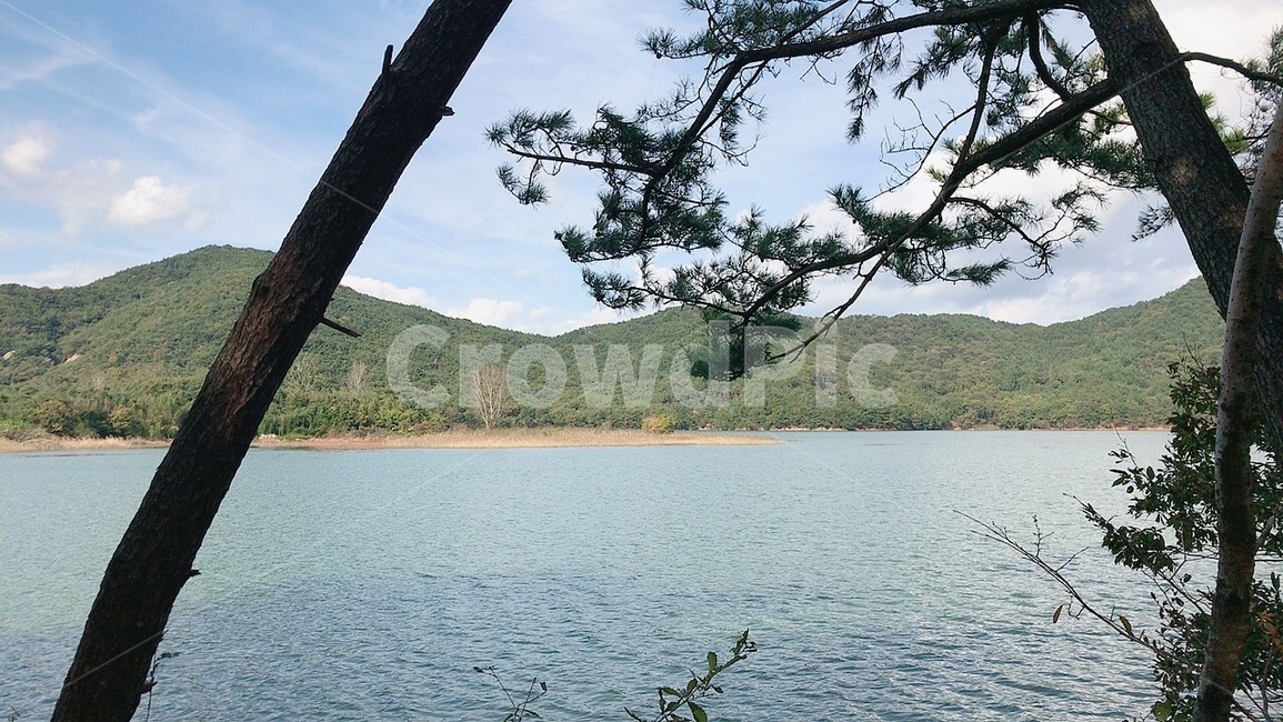 water,물,nature,자연,outdoors,옥외,저수지,호수,산,montain,동네뒷산,뒷산,나무,나뭇잎,가지,줄기,나무줄기,나무가지,나뭇가지,등산,하늘,숲,숲속