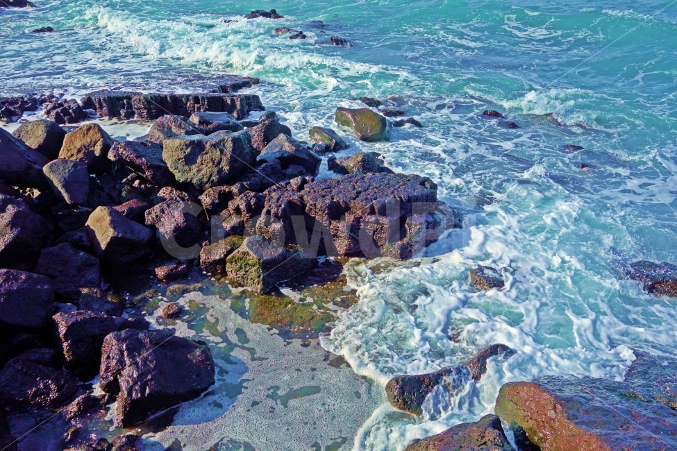 제주도,김녕성세기해변,현무암,바위,파도,물결,돌,제주,제주도여행,제주여행,여행,자연,풍경,경치,푸른,바다,바닷가,해안,해안가,김녕,성세기,해변,김녕해수욕장,김녕성세기해수욕장,파도소리,자연,풍경,nature,landscape,한국자연풍경,한국자연경관,korea nature landscape,해변,바다,beach,sea,제주도,jeju,jeju island,outdoors,옥외,water,물,ocean,대양