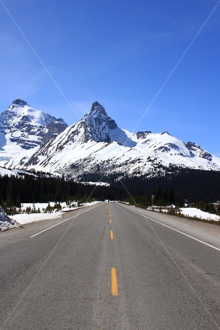 road,도로,freeway,고속도로,highway,자연,풍경,nature,landscape