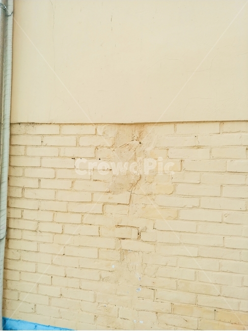 벽,wall,건물,building,건물벽