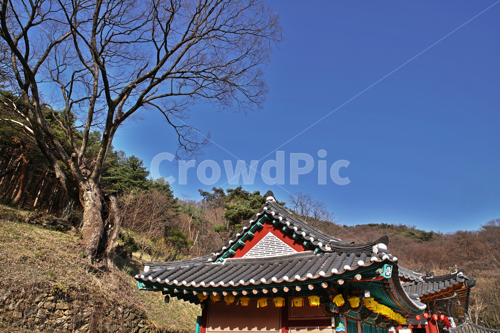 청계사,청계산,의왕시,사찰,불교사찰,산사