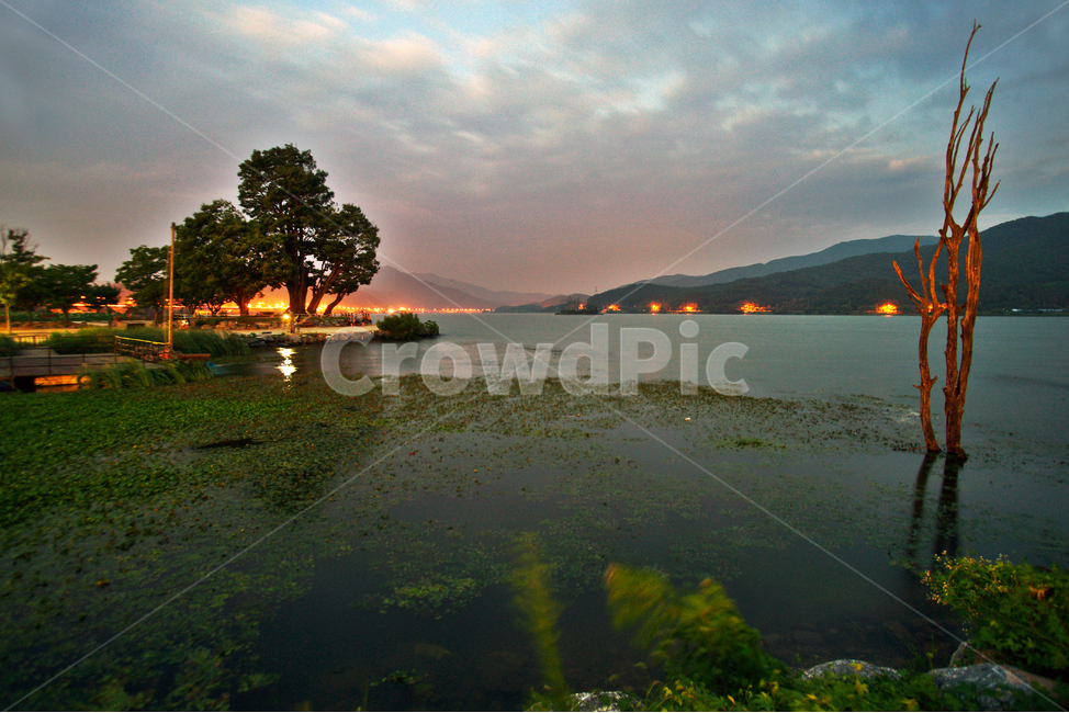 두물머리,양수리,북한강,남한강,합류,한강,자연,풍경,nature,landscape,한국자연풍경,한국자연경관,korea nature landscape,land,땅,outdoors,옥외,water,물,shoreline,해안선,ocean,대양,sea,바다