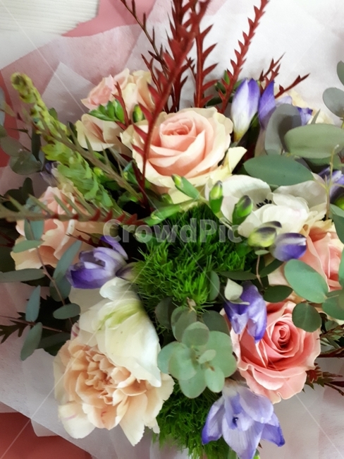 꽃다발,장미,꽃,장미꽃,flower,장식,꽃,flower,기념일,축하,anniversary,congratulation,celebrate,celebration