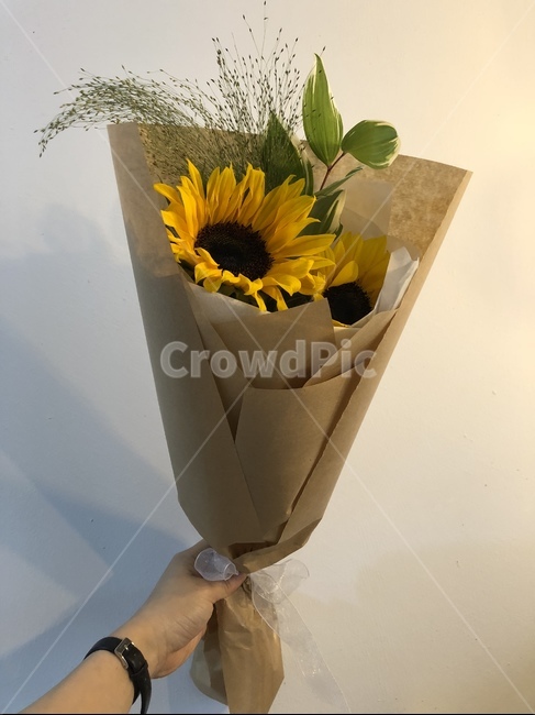 꽃,해바라기,꽃두송이,감성,꽃을든손,꽃,flower,기념일,축하,anniversary,congratulation,celebrate,celebration