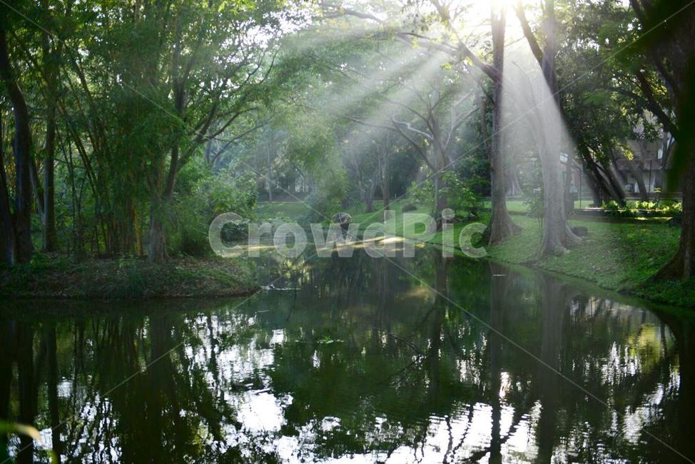 빛내림,강,분위기,숲,초록색,여름,계절,summer,season,자연,풍경,nature,landscape,휴식,힐링,rest,relaxation,healing,land,땅,outdoors,옥외,water,물,vegetation,초목,plant,식물,flare,플레어,light,빛