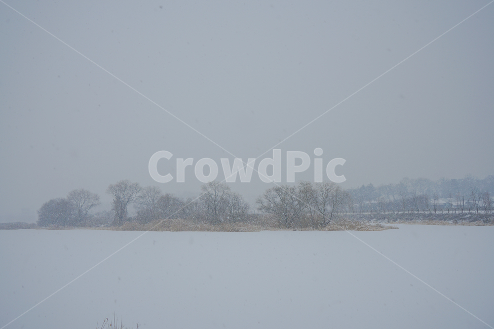 겨울,눈,흰눈,설경,풍경,나무,계절,호수공원,nature,자연,outdoors,옥외,storm,폭풍,snow,winter,blizzard,눈보라