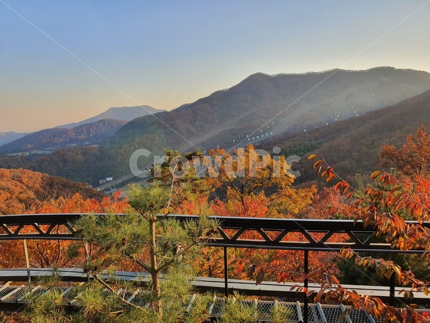 nature,자연,outdoors,옥외,산,단풍,잎