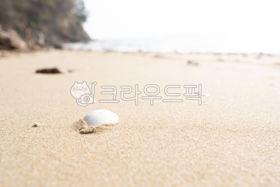 바다,조개,감성,모래사장,해수욕장,배경,soil,흙,nature,자연,outdoors,sand,모래,dune,모래언덕,해변,바다,beach,sea