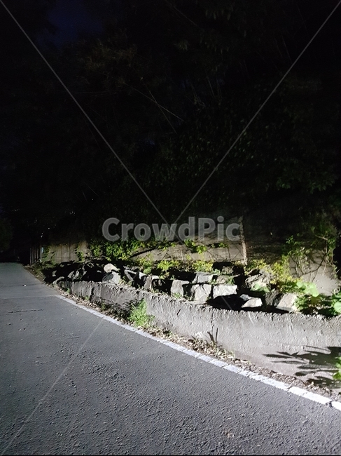 밤길,집중,조명,칠흑,공포,자동차,갓길,도로,어둠,night,light,dark,road