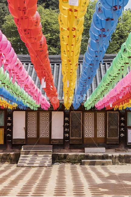 신륵사,사찰,고찰,연등,그림자,문화유산,한국전통,한국문화,korean traditional,korean culture,종교,신앙,religion,belief,faith