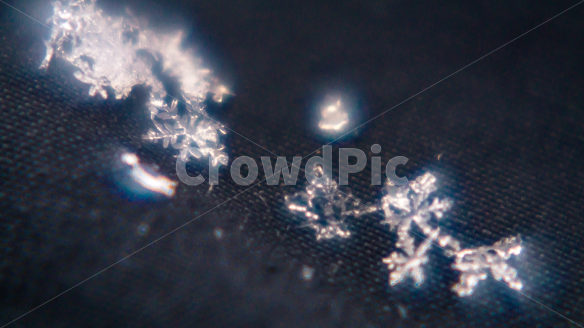 눈,눈꽃,접사,확대,은,은빛,겨울,계절,winter,season