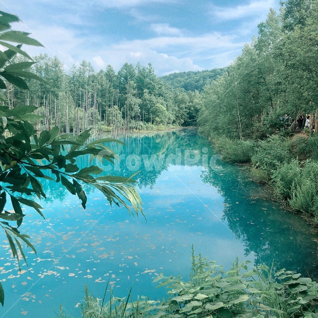 water,물,nature,자연,land,땅,outdoors,옥외,plant,식물,초목,vegetation,하늘,sky,여름,summer,에메랄드빛,emerald,green,자연,풍경,nature,landscape