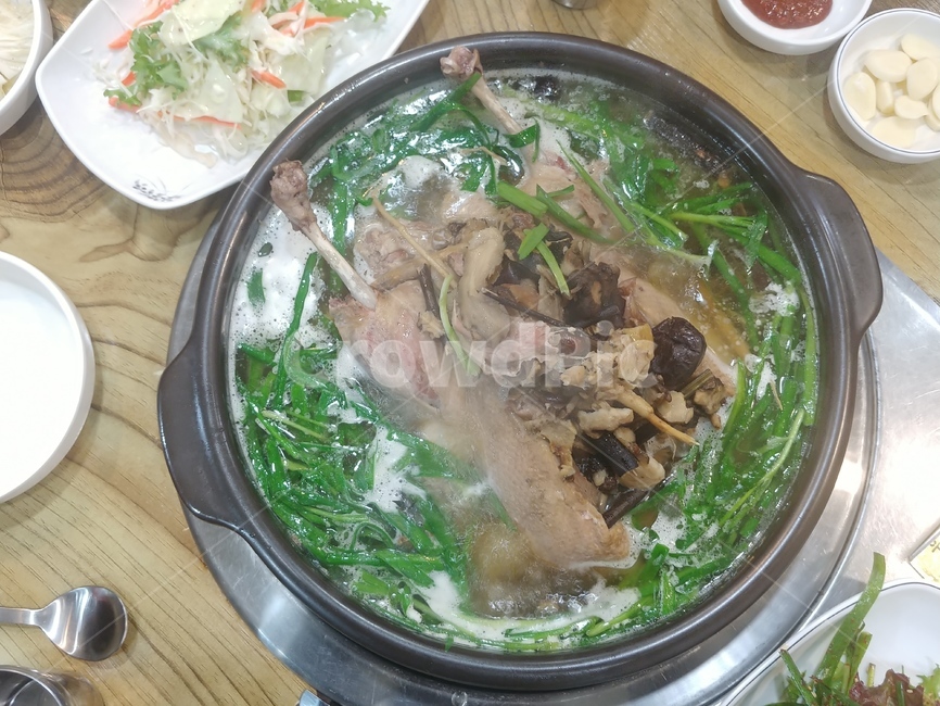 음식,오리,백숙,오리백숙,한방오리백숙,음식,식재료,요리,food,cook,meal,dishes,food reserves,한식,한국음식,한국요리,korean food,korean dishes,korean meal,korean cook