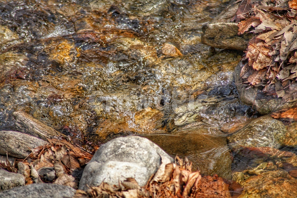 계곡,물,돌맹이,낙엽,풍경,시원함,감성,자연,가을,계절,fall,autumn,season,자연,풍경,nature,landscape,rock,록