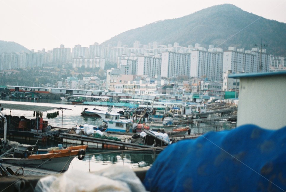 vehicle,water,물,transportation,교통,용기,vessel,차량,watercraft,선박,waterfront,port,항구,harbor,워터프론트,포트,pier,교각,dock,독,도시,풍경,city,landscape