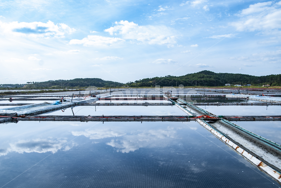 염전,안면도,소금,반영,태안반도,구름,salt,saltpond,서해