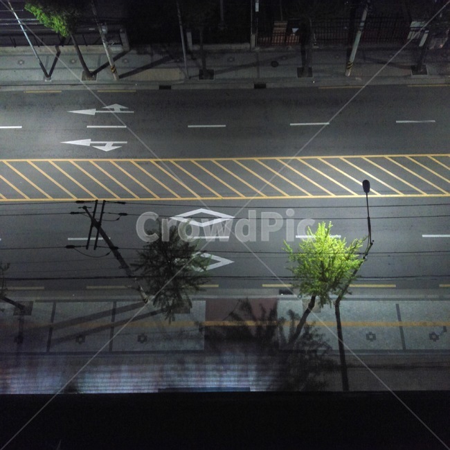 도로,횡단보도,밤,새벽,차도,교통,교통수단,traffic,transportation