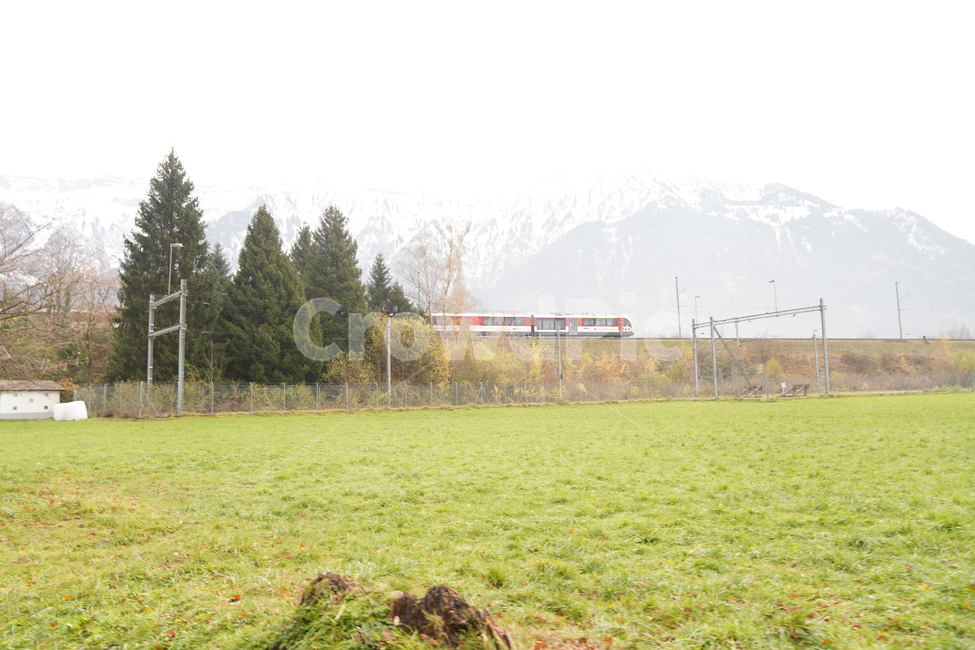tree,plant,train,grass,들판,자연,산,mountain,자연,풍경,nature,landscape