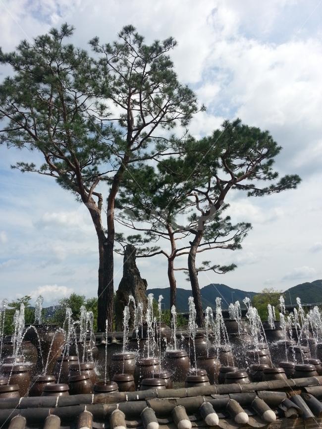 세미원,항아리,분수,소나무,하늘,한국전통,한국문화,korean traditional,korean culture,식물,자연,plants,nature,나무,trees,wood