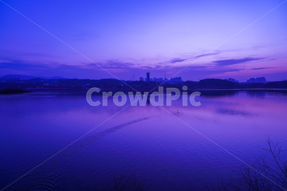 호수,여명,새,철새,물,동물,풍경,자연,풍경,nature,landscape,water,outdoors,옥외,lake