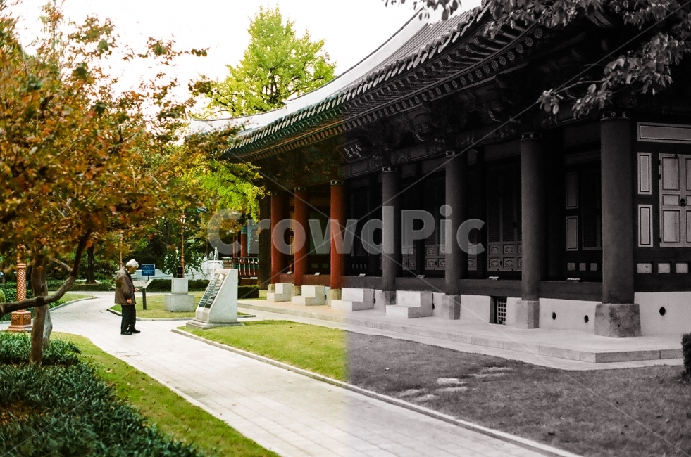 흑백,한국전통,과거와현재,공존,감성,한국전통,한국문화,korean traditional,korean culture,건축물,건물외관,exterior,building,structure,architecture,construction,연출,컨셉,콘셉,direction,concept