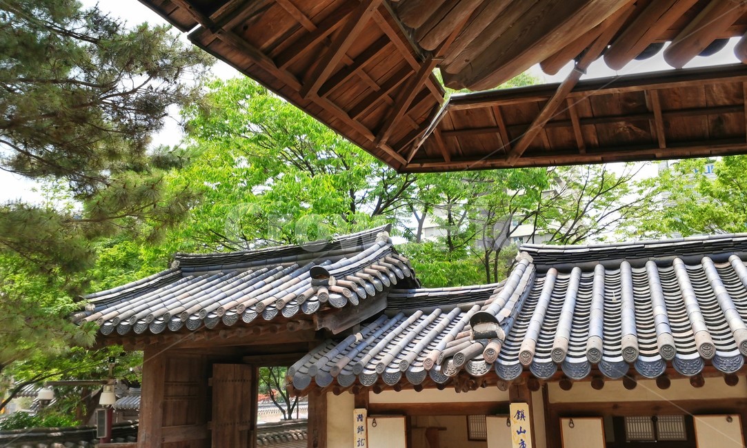 고택,한옥,전통가옥,기와,기와지붕,기왓집,한국전통,한국문화,korean traditional,korean culture
