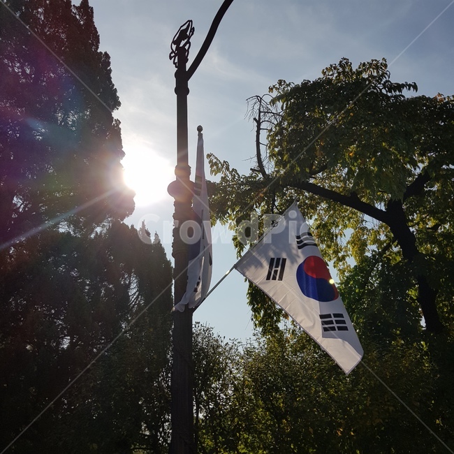 태극기,국기,햇빛,한국,nationalflag