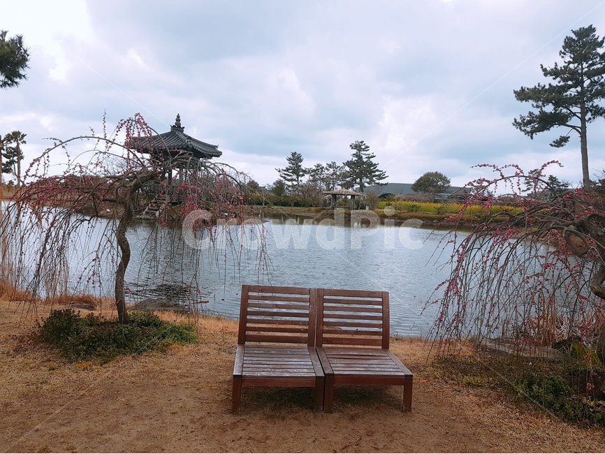 제주도,풍경,자연,호수,봄