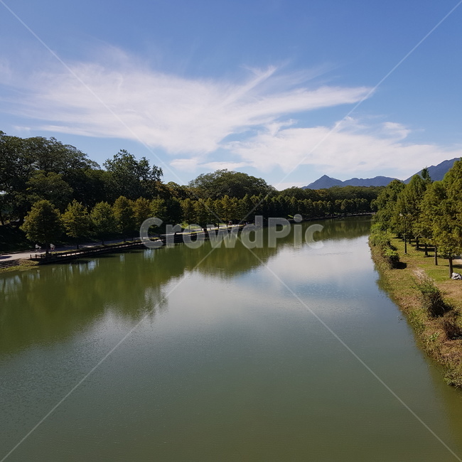영산강,담양,배경,풍경,구름,자연,나무,강,자연,풍경,nature,landscape