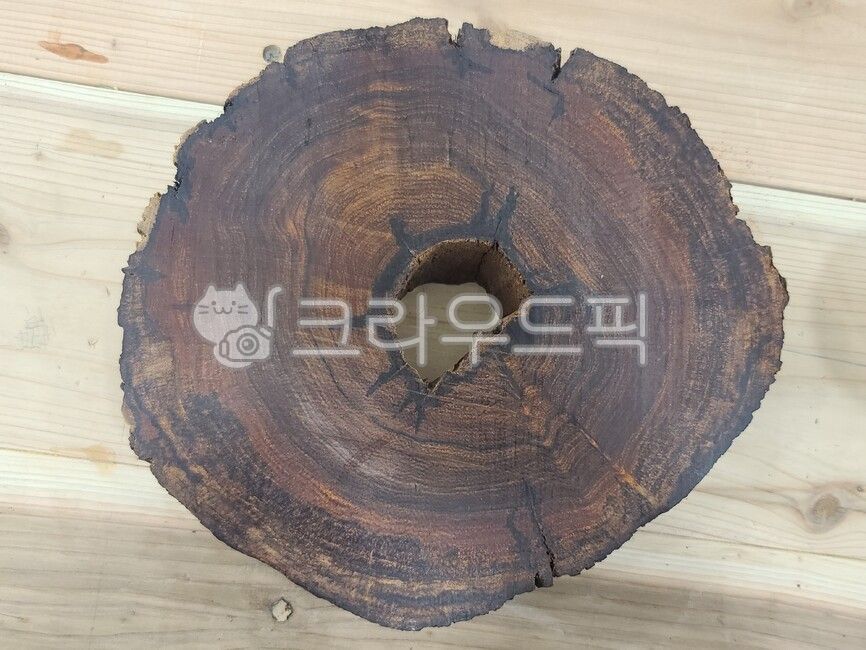 hole,wood grain,piece of wood,tree,wood